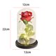 thumbnail image 4 of Rosa Simulación Preservada en Cubierta Cristal Creativa para Aniversario Boda, 4 of 9