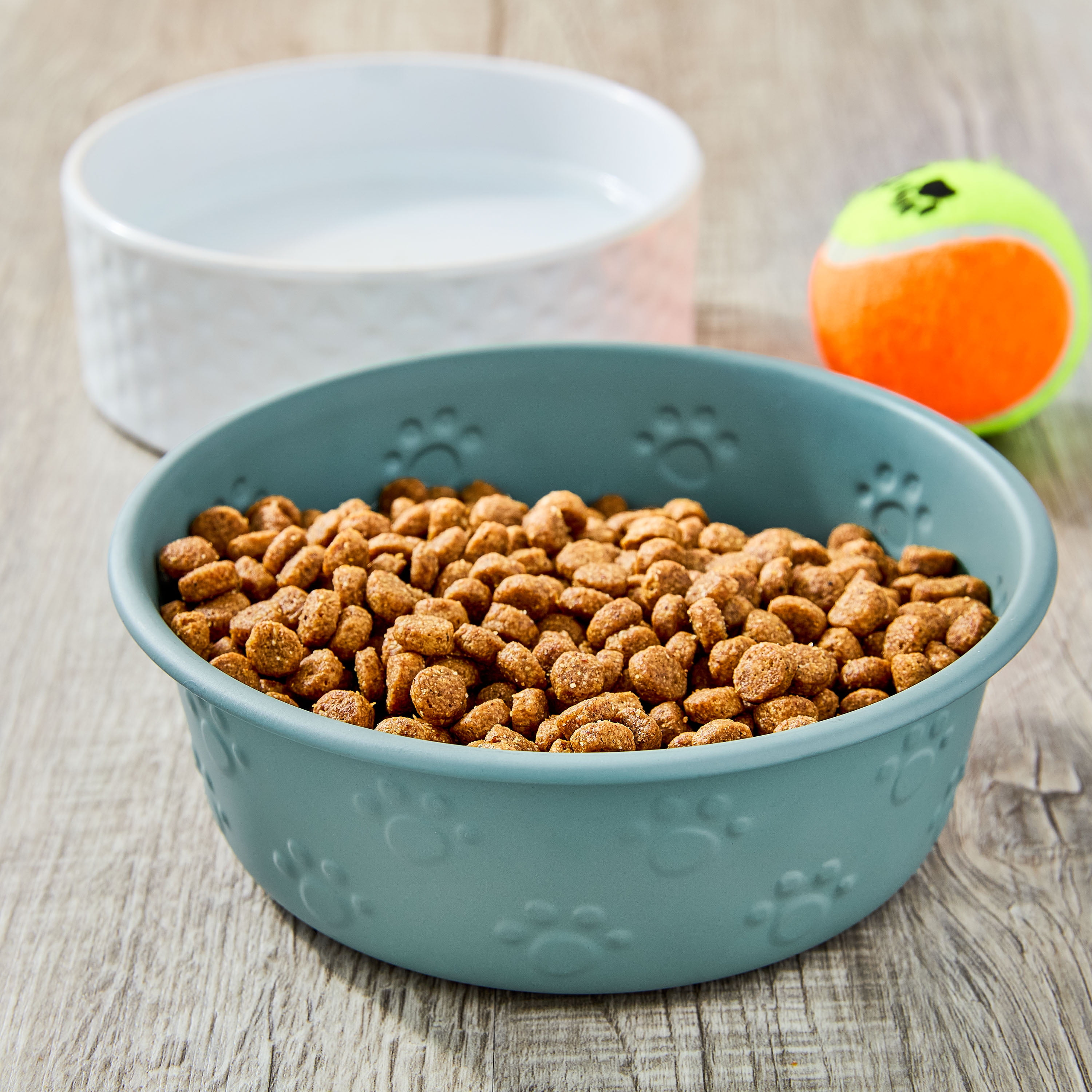 Vibrant Life Medium Stainless Steel Embossed Dog Bowl, Green Paws