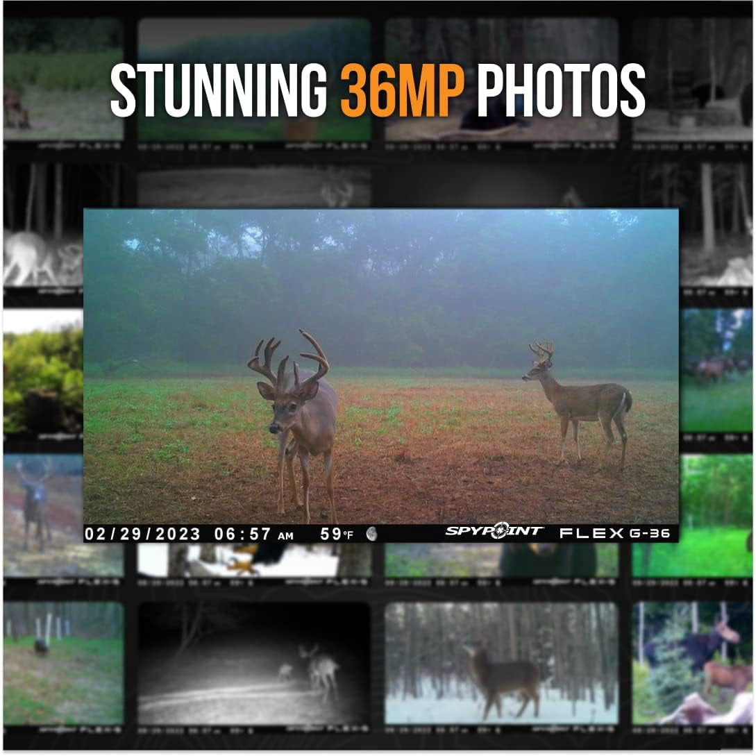 SPYPOINT FLEX G-36-Twin Camo | Cellular Hunting Trail Camera | 36MP, 1080p Video w/ Sound, 0.3s Trigger, 100ft Range