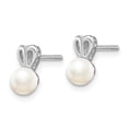 thumbnail image 2 of 925 Sterling Silver Rhodium-plated FW Cultured Pearl Earrings; for Adults and Teens; for Women and Men, 2 of 3