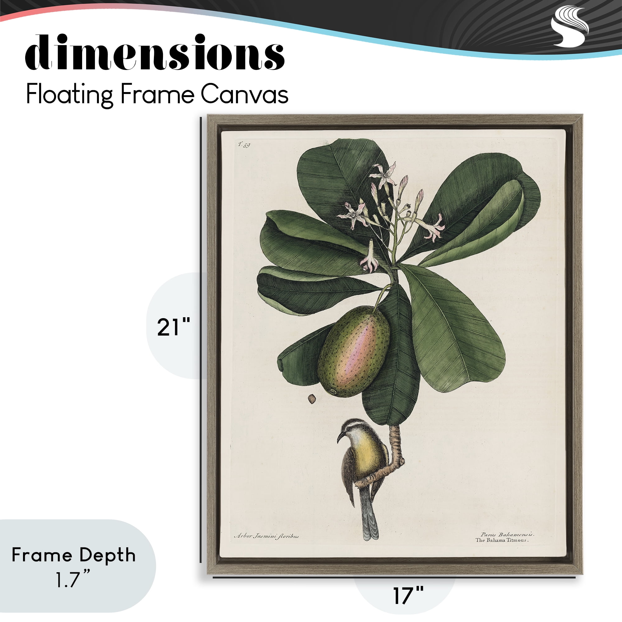 Stupell Industries Catesby Flora & Fauna Brown Framed Floater Canvas Wall Art, design by Print Collection