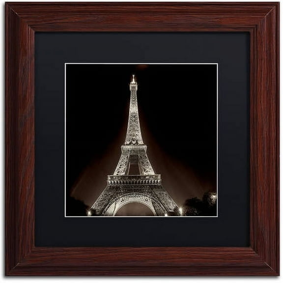 Trademark Fine Art "Tour Eiffel II" Canvas Art by Alan Blaustein, Black Matte, Wood Frame