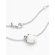 thumbnail image 3 of ROSA BLANCA, 3 of 4