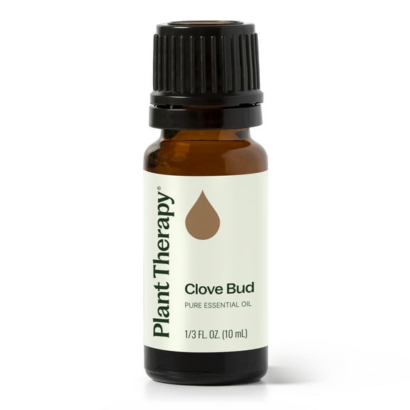 Plant Therapy Clove Bud Essential Oil 100% Pure, Undiluted, Natural Aromatherapy 10 mL (1/3 oz)