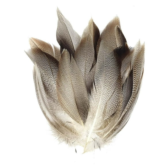 Rushay 50 Pieces Feathers for DIY Crafts Swimming Feathers Decoration Fly Tying Feather
