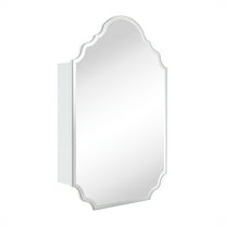 TEHOME framedless Irregular Medicine Cabinet, 20x30 inches, Recessed/Surface Mount, Storage