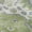 Aloe, variant on Addison Rugs Mayfield Premium Machine Washable Traditional Oriental Teal Rectangle Rug, 10' x 14'