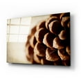 thumbnail image 2 of Epic Art 'Pine Cone' by Jessica Rogers, Acrylic Glass Wall Art, 24"x16", 2 of 8