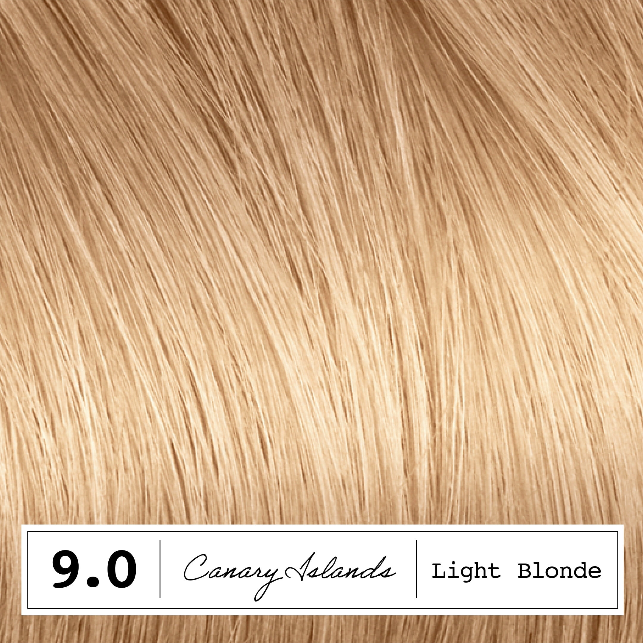 Clairol ColorStrong Permanent Zero Ammonia Hair Dye, 9.0 Light Blonde Canary Islands Hair Color, 1 Kit