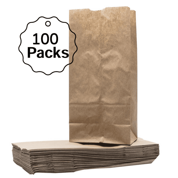 Paper Lunch Bags Disposable Brown Paper Lunch Bags 100 COUNT