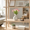 thumbnail image 5 of Luckky Elegant Two Hugging Cats Figurine with Vase Design,Minimalist Tabletop Decor Statue,Personalized Ornament for Living Room TV Cabinet,Entryway,Bedroom Modern Home Decoration, 5 of 7