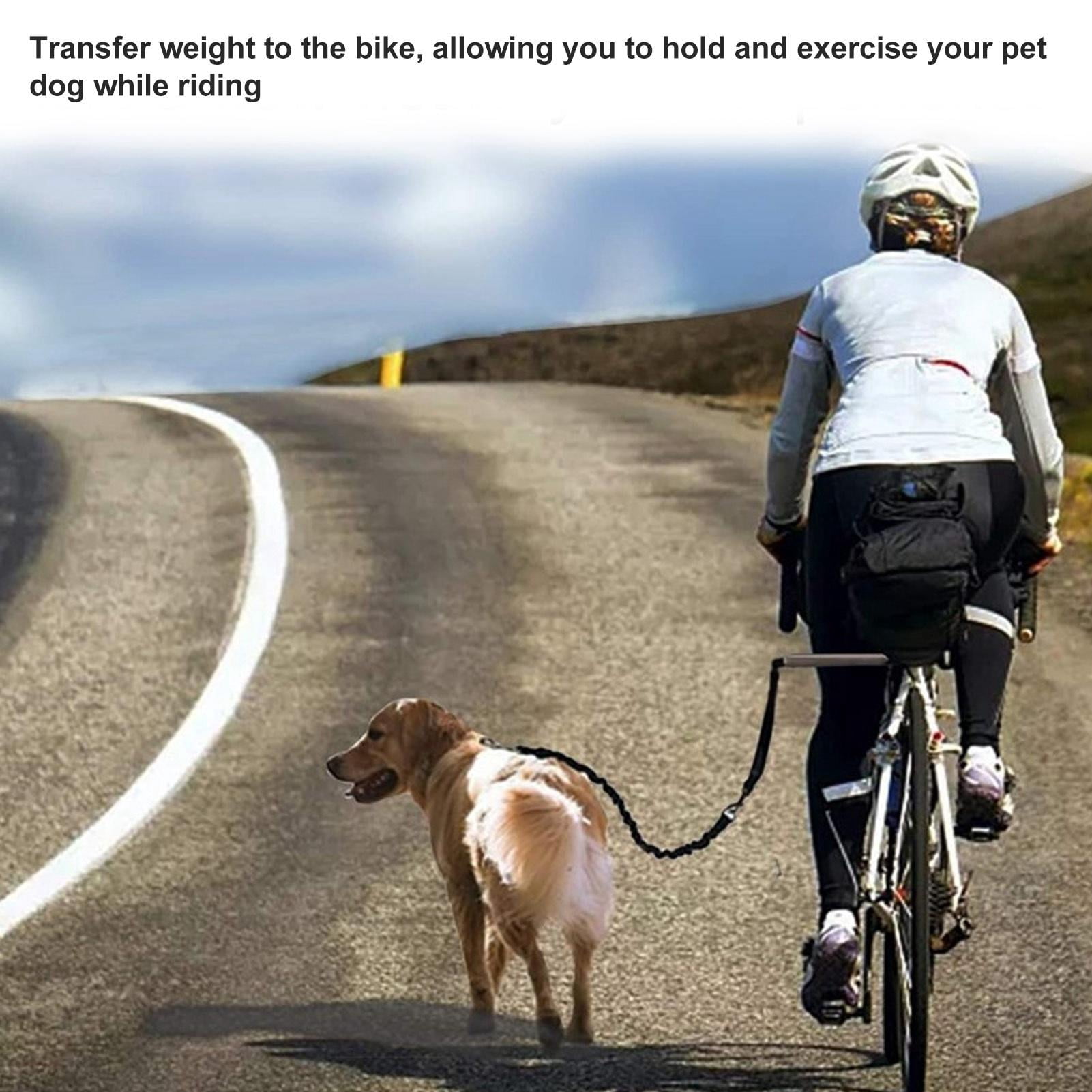 BOKYAN Retractable Bike Dog Leash – Stainless Steel, Elastic Band, Hands‑Free Running & Easy Clamp for Any Bike