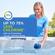 FROG @ease Floating System for Hot Tubs - Quick & Easy Self-Regulating Hot Tub Sanitizer - Tub Maintenance System with Sanitizing Minerals & SmartChlor Technology