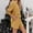 Yellow, variant on LIZUOJUN Pajamas for Women Set Shorts Long Sleeve Sleepwear 2 Piece Lounge Set Soft Comfortable Breathable Pjs Loungewear Notch Collar Button Down Pajama Casual Sleepwear - L