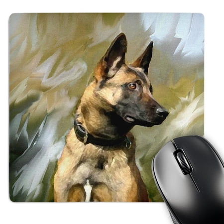 3dRose  Belgian Malinois  MousePad price history on PriceWatchPro