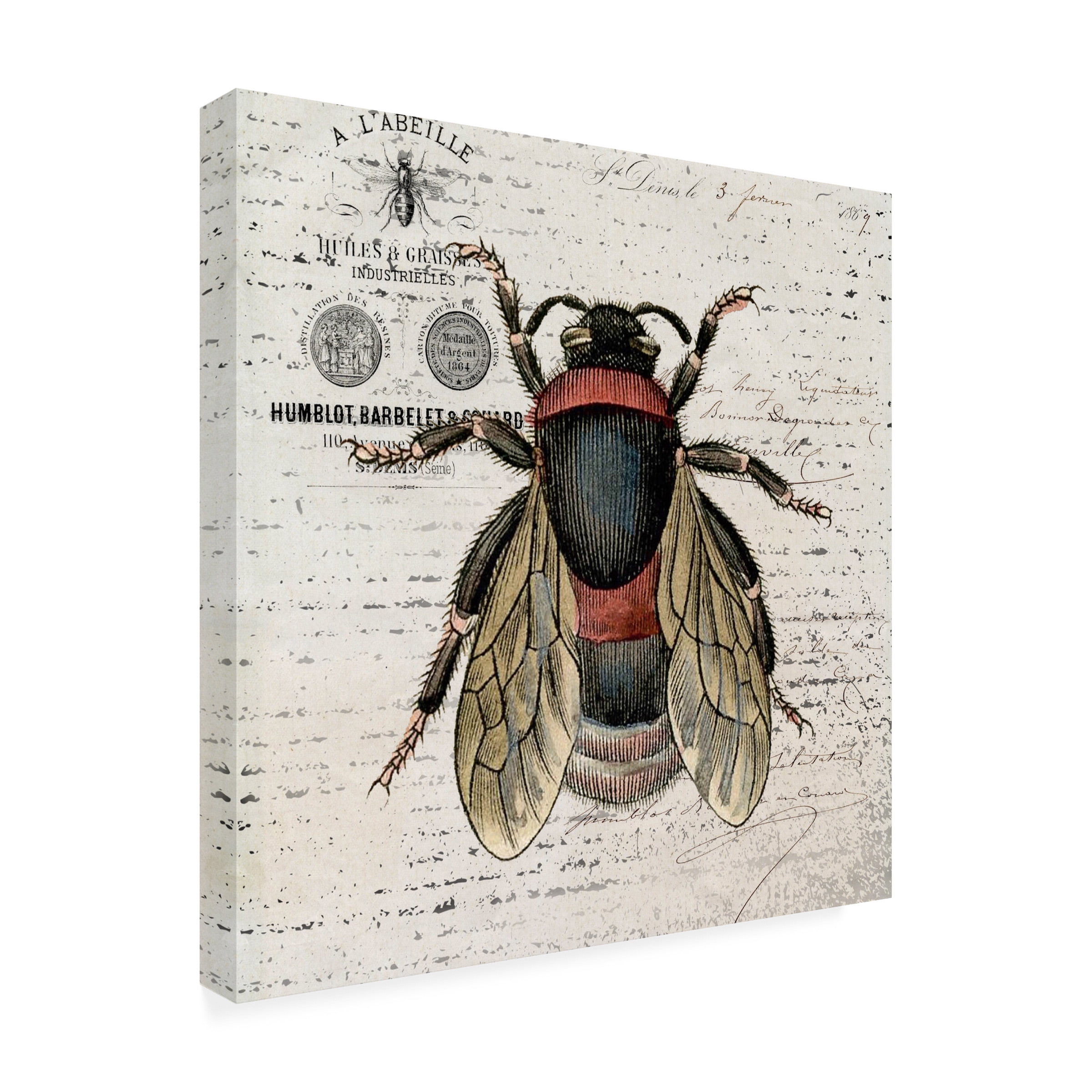 Karen Smith 'History Bee I' Outdoor All-Weather Wall Decor