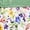 Pressed Flowers, variant on Jockey Women's 100% Cotton Poplin Boxer Short