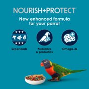 Kaytee Forti-Diet Pro Health Nourish+Protect Parrot Food 8 Pounds