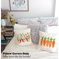 thumbnail image 2 of Farmhouse Easter Home Decor Pillow Covers 18x18 Set of 2, Spring Easter Bunny Carrot Decorative Throw Pillows 18 x 18, Vintage Easter Outdoor Porch Decor Pillows (without Pillow Inserts), 2 of 6