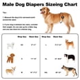 thumbnail image 3 of Pañales para perros VUNCESSIN lavables y reutilizables para perros machos M, 3 of 7