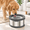 8L+2 Filters, variant on 8l Dog Water Bowl No S2.1 Gallon Stainless Steel For Dogs 270oz Large Capacity Splash Slow Drinking Feeder With Anti-slip Mat Mess