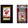 thumbnail image 1 of NHL Detroit Red Wings Fan Pack, 1 of 1