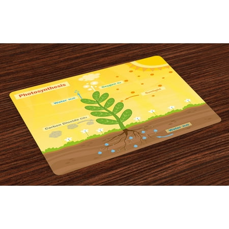 Carbon Dioxide Probe Educational Placemats Set of 4 Cartoon Photosynthesis Oxygen Carbon Dioxide Sunlight and Water, Washable Fabric Place Mats for Dining Room Kitchen Table Decor,Earth Yellow Green Umber, by Ambesonne ()