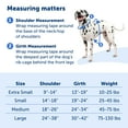 thumbnail image 6 of PetSafe Easy Walk Comfort No-Pull Dog Harness, 5 Adjustement points, M/L, Blue, 6 of 8