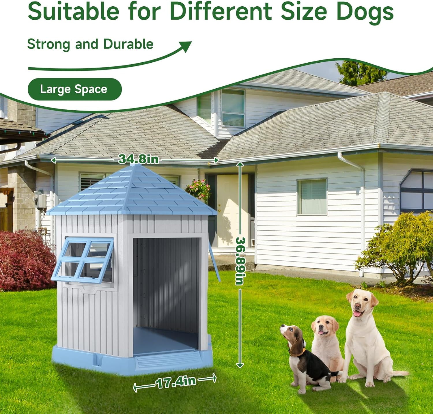 DRATO Dog House Indoor Outdoor Durable Large Dog Shelter with Outside Dog Kennel with Window and Elevated Floor for Small Medium Dogs (Blue, 34.8 * 30.51 * 36.89)