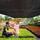 thumbnail image 5 of Shade Cloth MKMJ 90% de protección solar, 3 x 3 m, resistente a la rotura, 5 of 9