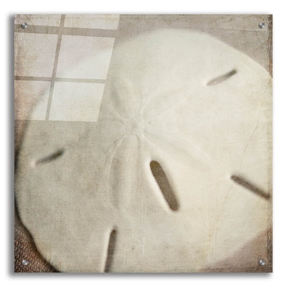 Epic Art 'Under the Sea 02' by Lightbox Journal, Acrylic Glass Wall Art, 24"x24"