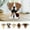 D, variant on kchsji Cute Dog Glasses Holder Stand Decorative Eyeglass Frame Animal Shaped Eyewear Organizer Durable Tabletop Storage Stand for Reading Glasses Sunglasses Home Office Desk Decoration Gift