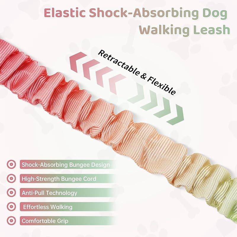 Hands Free Dog Leash with Zipper Pouch, 6-9ft Bungee Waist Leash for Medium Large Dogs Walking, Running Lead with Dual Padded Handles Car Safety Buckle for Training Jogging