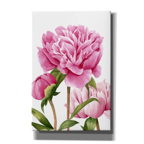 Epic Graffiti 'Winsome Peonies II' by Grace Popp Canvas Wall Art, 26"x34"
