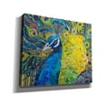 thumbnail image 2 of Epic Graffiti 'Poised Peacock 2' by St. Hilaire Elizabeth, Canvas Wall Art, 24"x20", 2 of 8