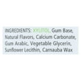 thumbnail image 1 of Xlear - Spry Chewing Gum with Xylitol Cinnamon - 100 Piece(s), 1 of 2