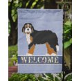 thumbnail image 3 of S S Ck3710gf Bernedoodle En Tamaño, 3 of 3