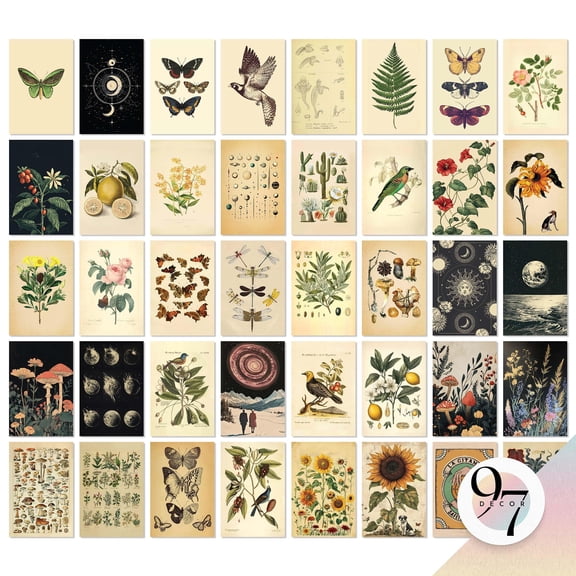 97 Decor Botanical 4x6 Vintage Collage Poster Set, 40 Pieces