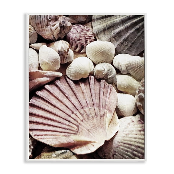 Stupell Industries Tropical Stacked Coastal Seashells White Framed Giclee Art, 16 x 20, by Ashley Aldridge