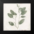 thumbnail image 2 of Purinton, Julia 15x15 Black Modern Framed Museum Art Print Titled - Plantlife II Green, 2 of 5