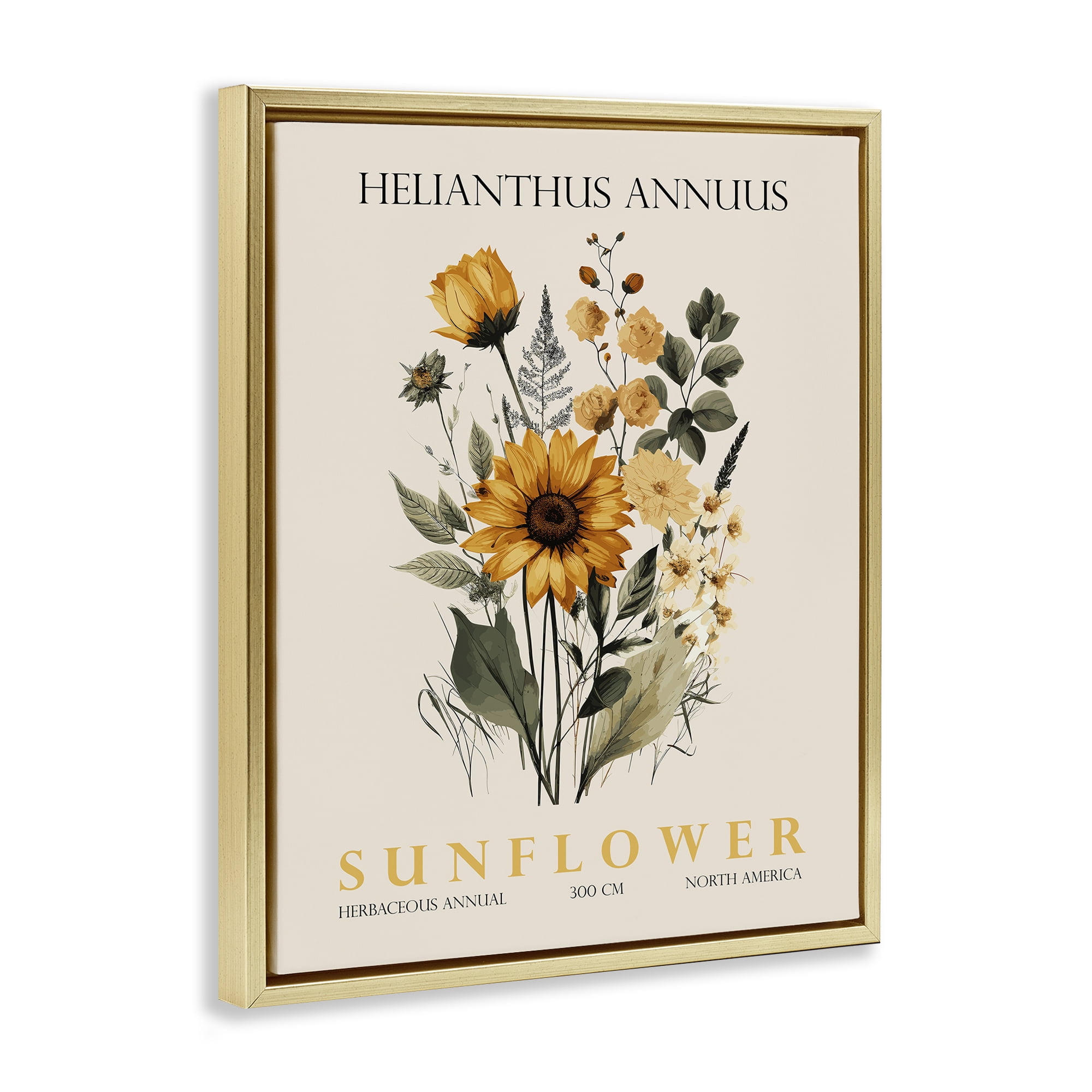 Stupell Industries Natural Sunflower Bundle Gold Framed Floater Canvas Wall Art, design by Christopher Giampietro