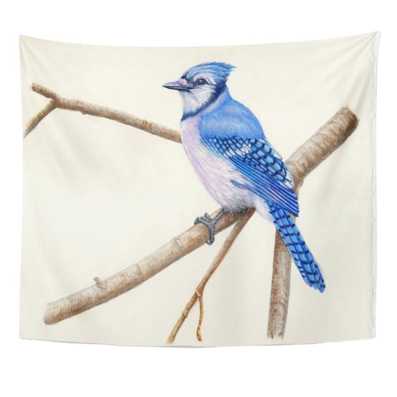 UFAEZU Watercolor Bird Blue Jay Brown Paint Watercolour Tree Branch Audubon White Black Wall Art Hanging Tapestry Home Decor for Living Room Bedroom Dorm 60x80 inch