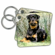 Rottweiler set of 2 Key Chains kc-500-1