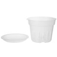 thumbnail image 4 of 1 Set of Transparent Flowerpot with Tray Featuring Practical Design for Orchids in Home Decoration and Gardening 14.4X10.4cm Durable Plastic, 4 of 5