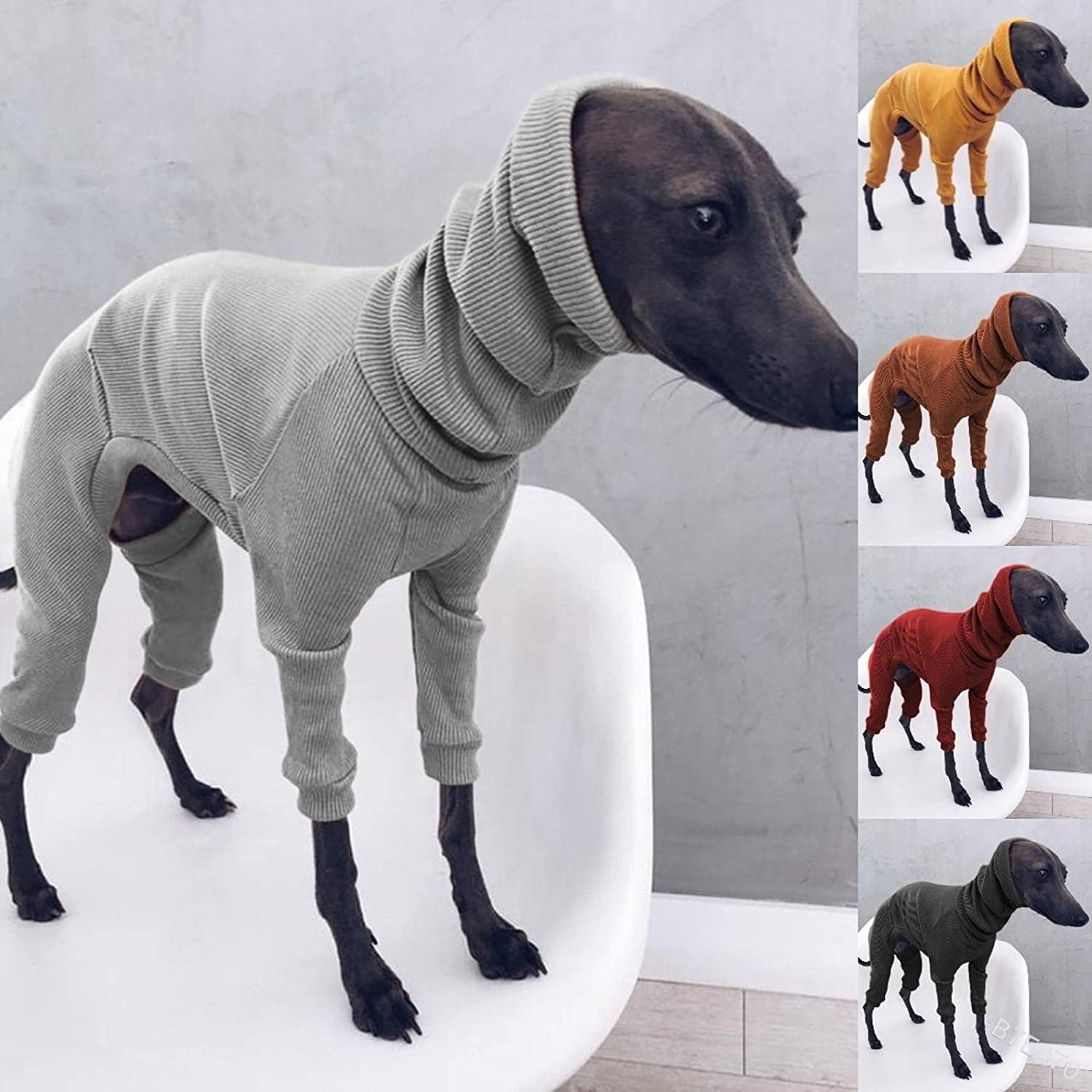 greyhound apparel