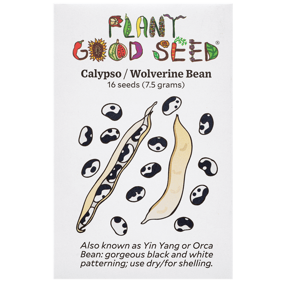 Calypso / Wolverine Bean Seeds