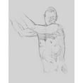 thumbnail image 2 of Green, Jacob 26x32 White Modern Wood Framed Museum Art Print Titled - Male Torso Sketch III, 2 of 4