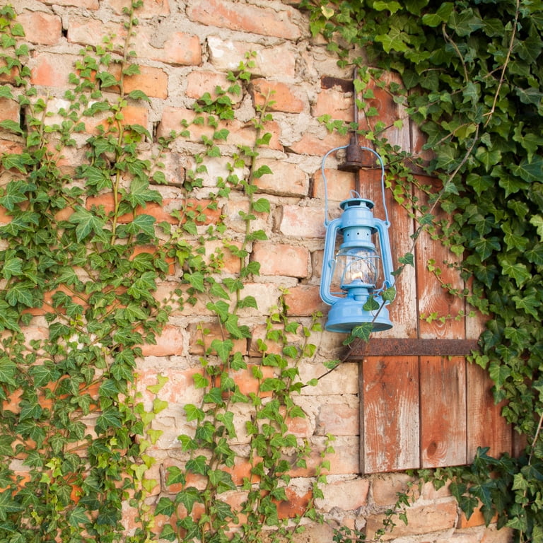 Feuerhand Galvanized Lantern - Dusty Blue - Walmart.com
