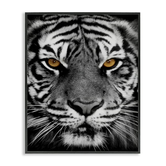 Stupell Industries Fierce Eyed Tiger Animals Painting Black Framed Art Print Wall Art, 11 x 14
