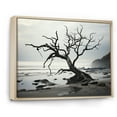 thumbnail image 2 of Designart "Beach Tree Photo Charm" Coastal Beach Floater Framed Wall Art Print, 2 of 7